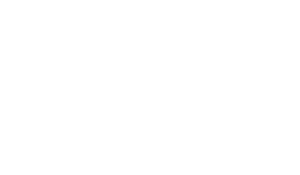 Evercade VS-R